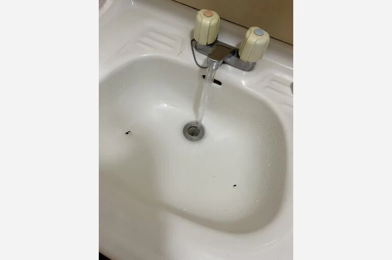 S__1417247