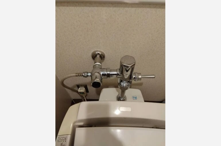 2443