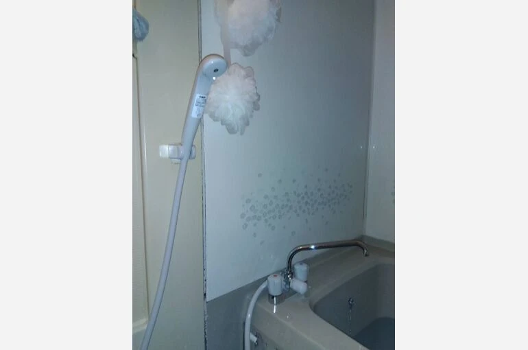 2467
