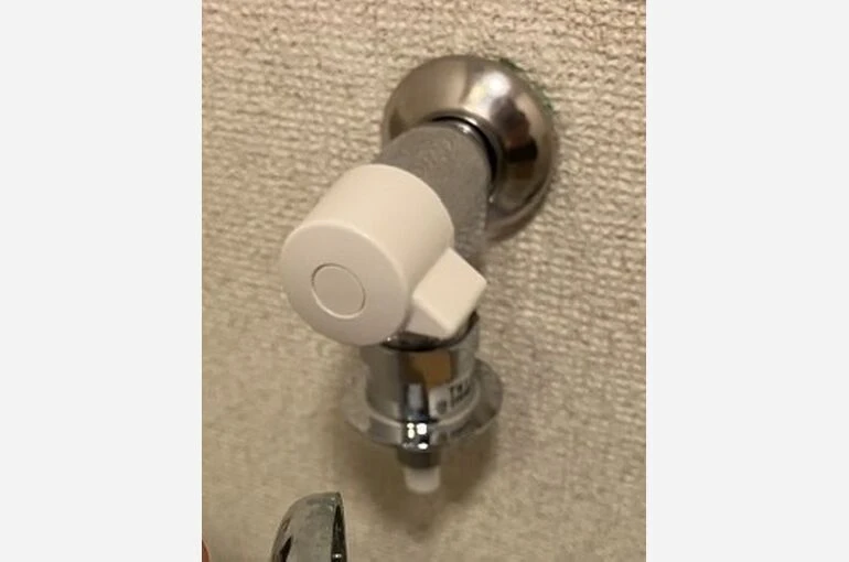 S__4292643